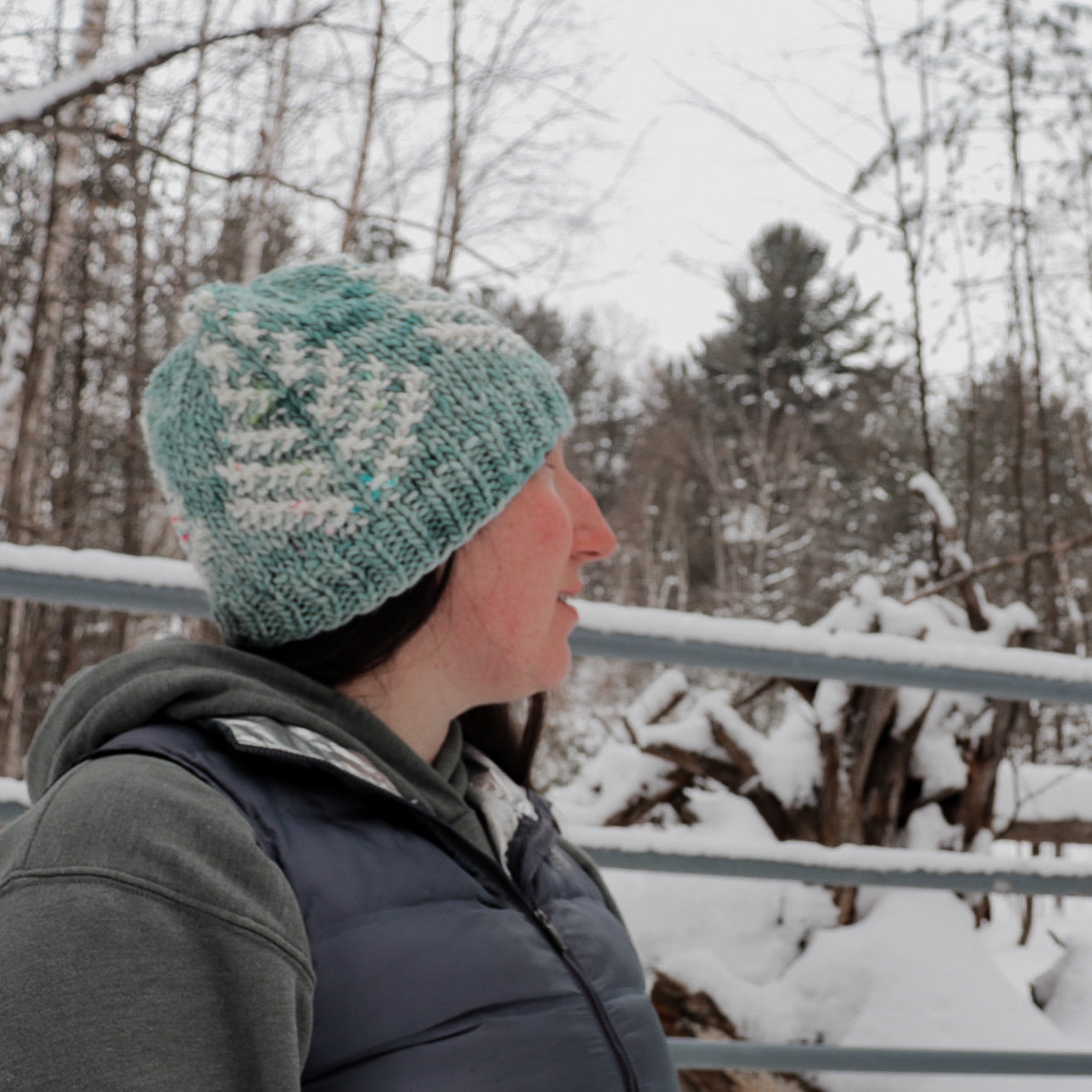 PDF PATTERN ONLY Limberlost Beanie