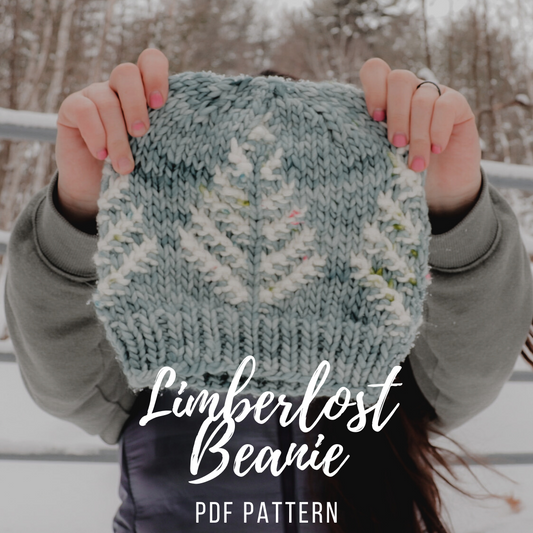 PDF PATTERN ONLY Limberlost Beanie